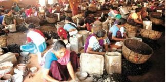 Workers get bonus first time in India