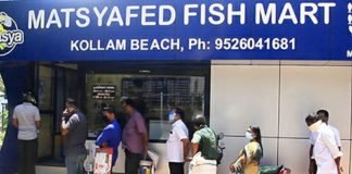 Fish are no longer available through Matsyafed