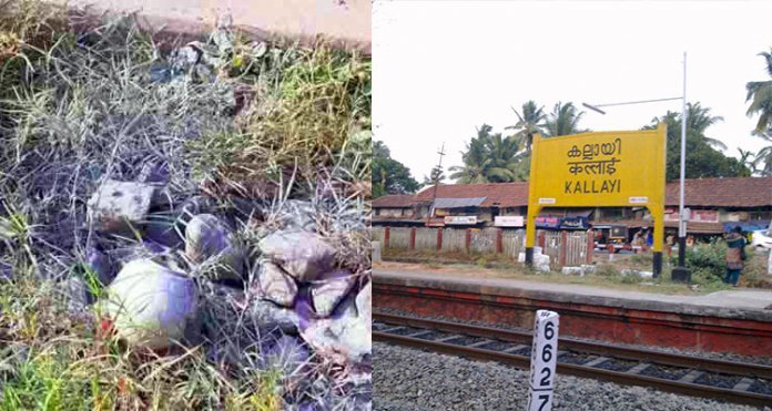 റെയില്‍വേ സ്‌റ്റേഷന് സമീപം പാളത്തില്‍ സ്‌ഫോടക വസ്തു