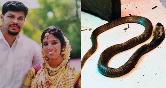 ഉത്രയുടെ കൊലപാതകo ; വിധി ഇന്ന്