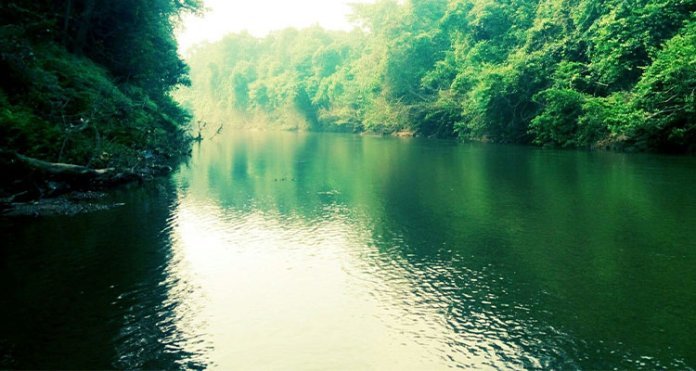 ശക്തമായ മഴയിൽ അച്ചൻകോവിലാർ കരകവിഞ്ഞു