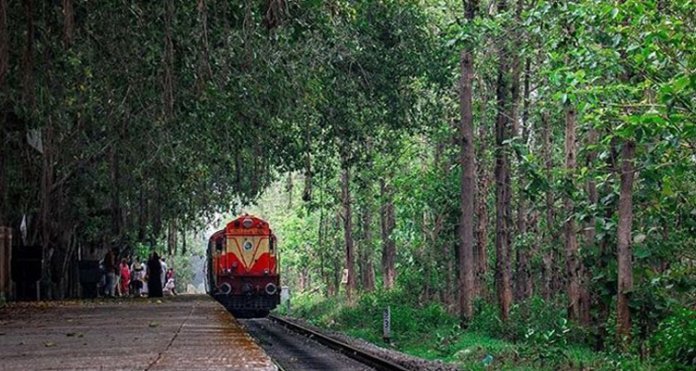 ഷൊര്‍ണൂര്‍ - നിലമ്പൂര്‍ പാതയില്‍ ട്രെയിന്‍ പുനരാരംഭിച്ചു