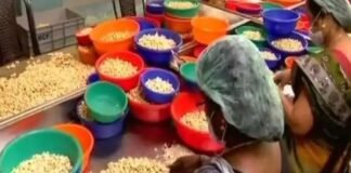 കശുവണ്ടി തൊഴിലാളികള്‍ക്ക് 20 ശതമാനം ബോണസ്