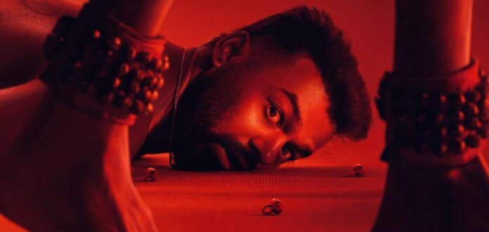 FiZeX6taGf9LhYyTCyLNbdF5ZT8J12pieB6Q3knM