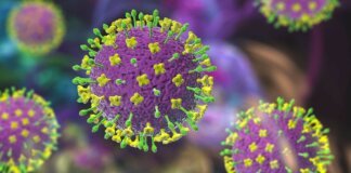 പശ്ചിമബംഗാളില് നിപ സ്ഥിരീകരിച്ചു; രണ്ട് നഴ്സുമാരുടെ നില ഗുരുതരം