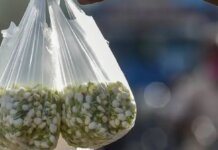 സ്വർണം മാത്രമല്ല മുല്ലപ്പൂവും തൊട്ടാല് പൊള്ളും; വില കുതിക്കുന്നു, കിലോയ്ക്ക് 8000 രൂപ വരെയായി