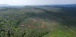 ശബരിമല വിമാനത്താവള പദ്ധതി; ചെറുവള്ളി എസ്റ്റേറ്റ് കേസില് സര്ക്കാരിന് തിരിച്ചടി; ഹര്ജി തള്ളി പാലാ കോടതി