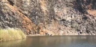 ഷൊര്ണൂര് ആറാണിയിലെ കരിങ്കല് ക്വാറിയില് യുവതിയുടെ മൃതദേഹം; അലീന ജോണ്സന് മരിച്ച നിലയില്