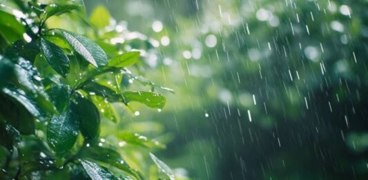 കേരളത്തിൽ വേനൽമഴ; അഞ്ച് ദിവസം സാധ്യത