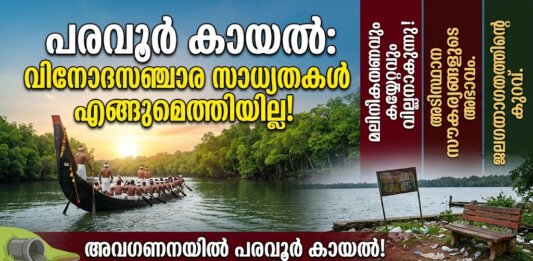 പരവൂർ കായലിന്റെ ശാന്തമായ ദൃശ്യവും സമീപത്തെ കണ്ടൽക്കാടുകളും