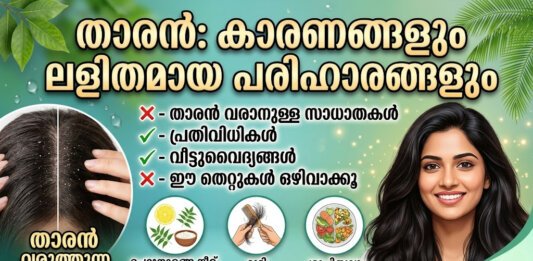 താരൻ മാറ്റാനുള്ള വീട്ടുവൈദ്യങ്ങളും ആൻറി-ഡാൻഡ്രഫ് ഷാംപൂവും