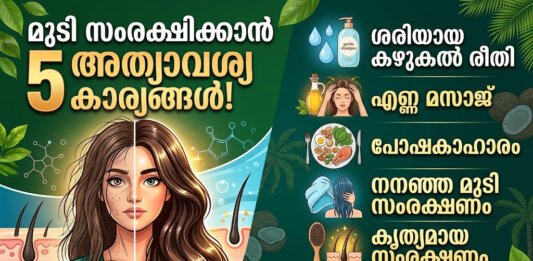 ആരോഗ്യവാനായ മുടിയും മുടിക്ക് ആവശ്യമായ പോഷകസമൃദ്ധമായ ഭക്ഷണങ്ങളും.