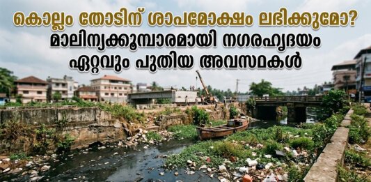 മാലിന്യം നിറഞ്ഞ കൊല്ലം തോടിന്റെ ദൃശ്യം